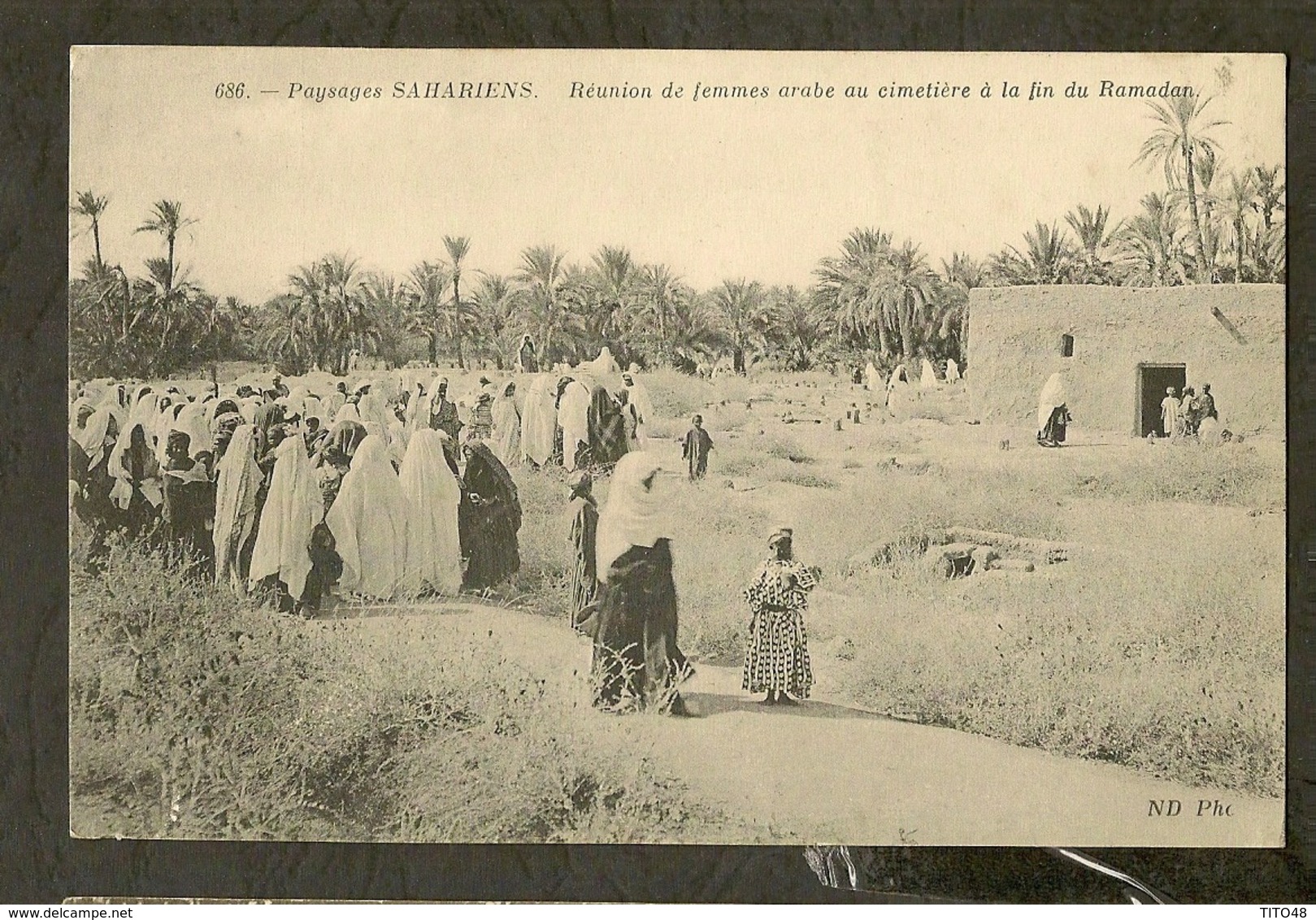 CP-Paysages SAHARIENS - Réunion De Femmes Arabe Au Cimetière à La Fin Du Ramadan - Sahara Occidentale