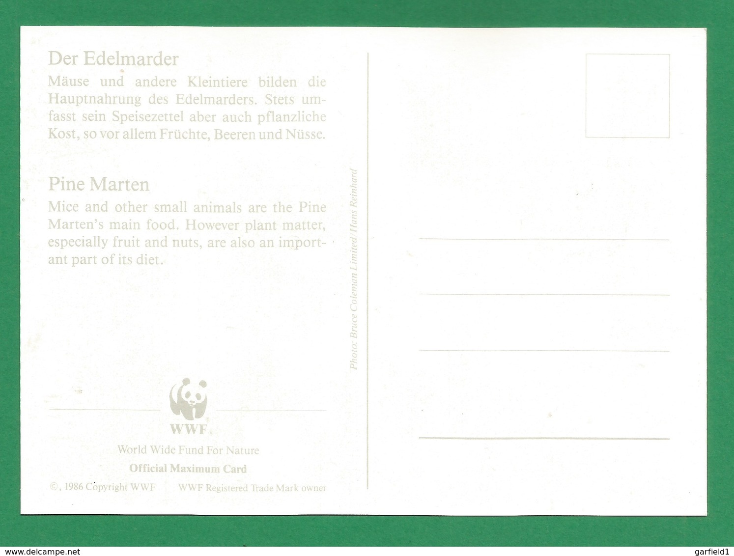 Irland 1992   Mi.Nr. 798 , Pine Marten - WWF Maximum Karte - First Day  9.VII.1992 - Cartes-maximum