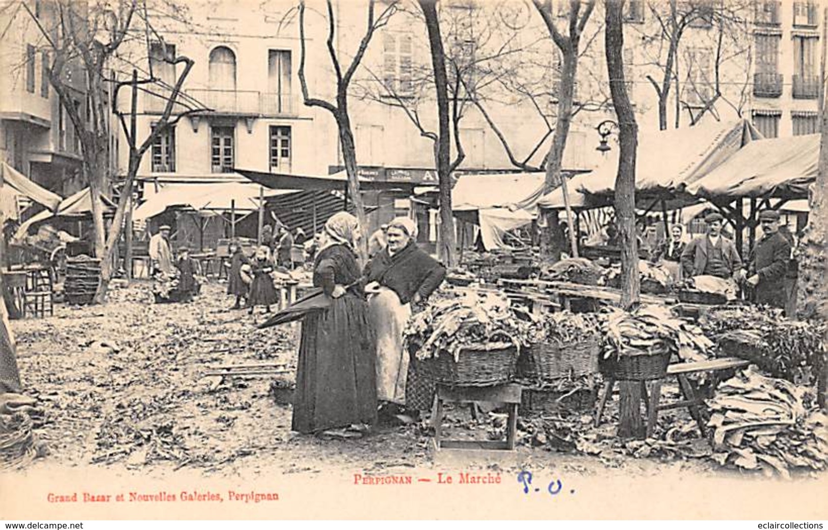 Perpignan     66         Le Marché       (voir Scan) - Perpignan