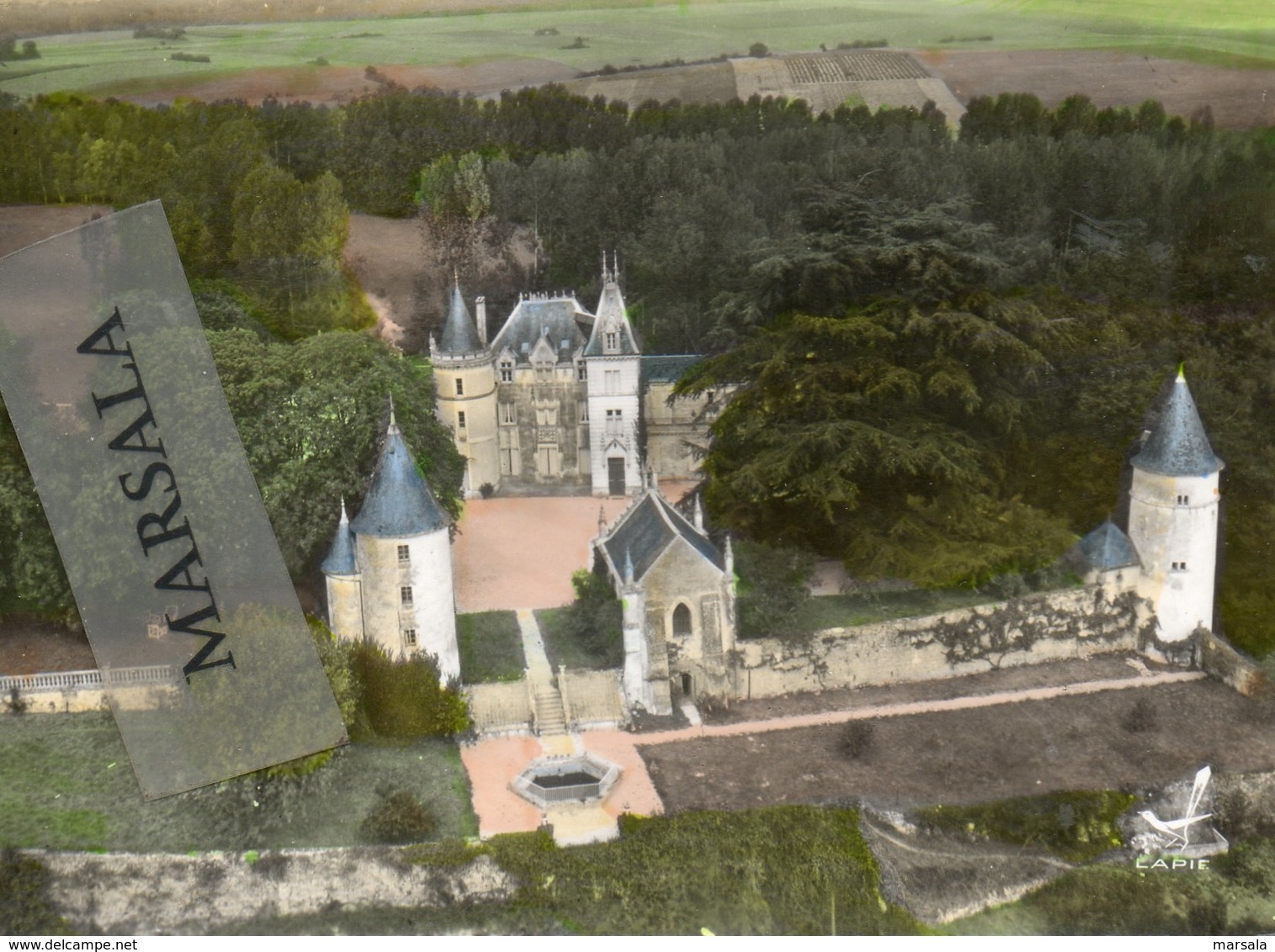 CPSM  Vouillé La Bataille  Chateau De Masseuil - Vouille
