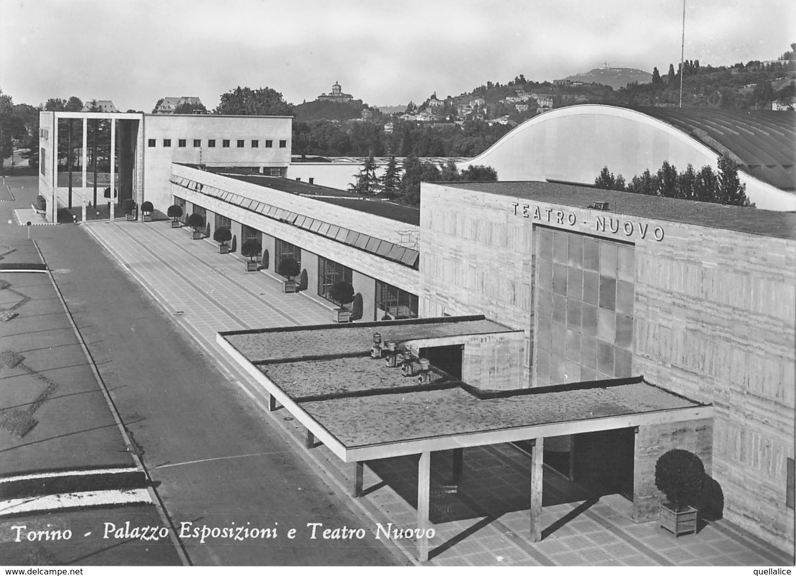 0742 "TORINO - PALAZZO ESPOSIZIONI E TEATRO NUOVO" VERA FOTO. CART NON SPED - Tentoonstellingen