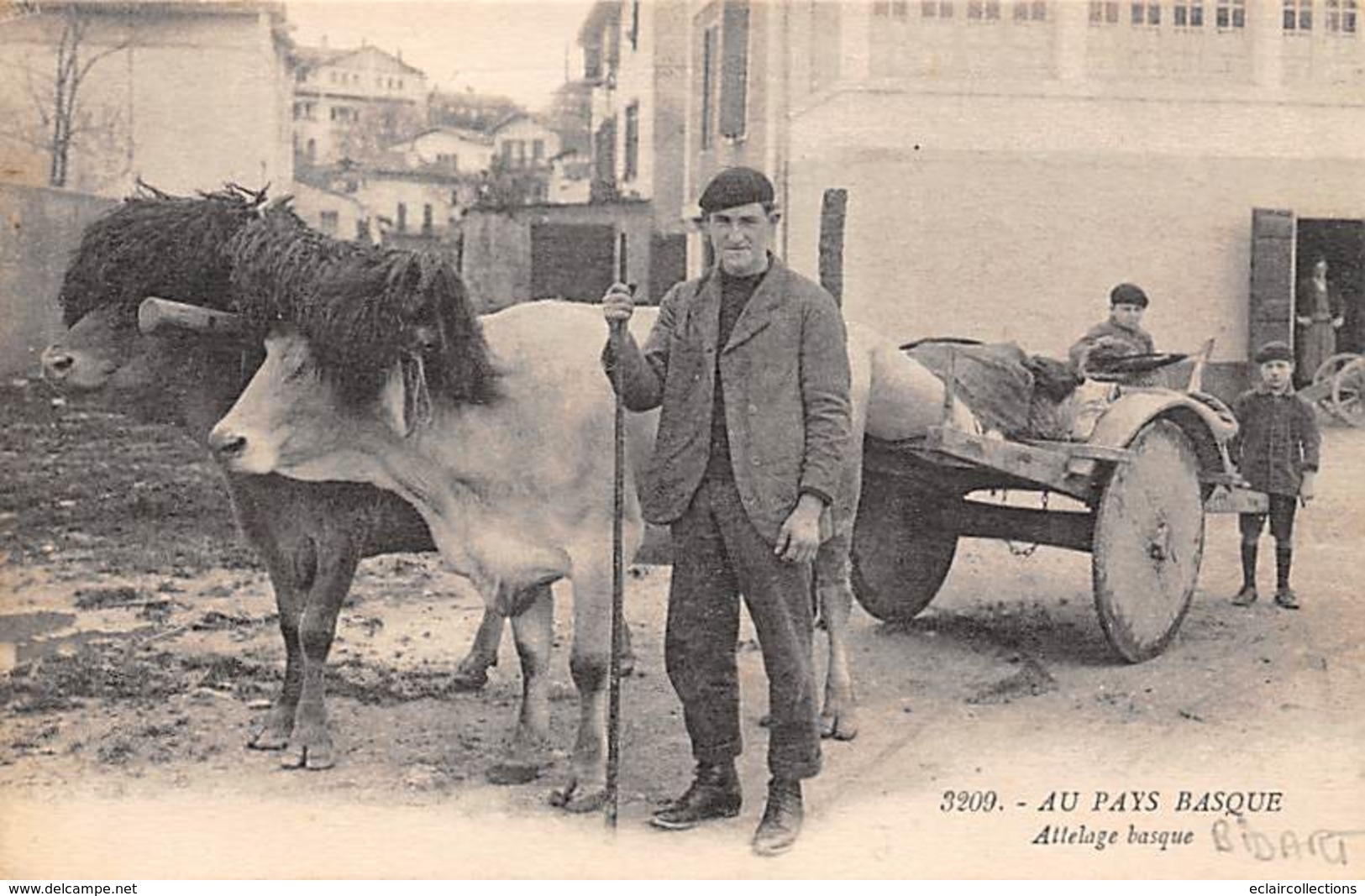 Bidart       64        Dans Le Village   Attelage Basque   (voir Scan) - Bidart