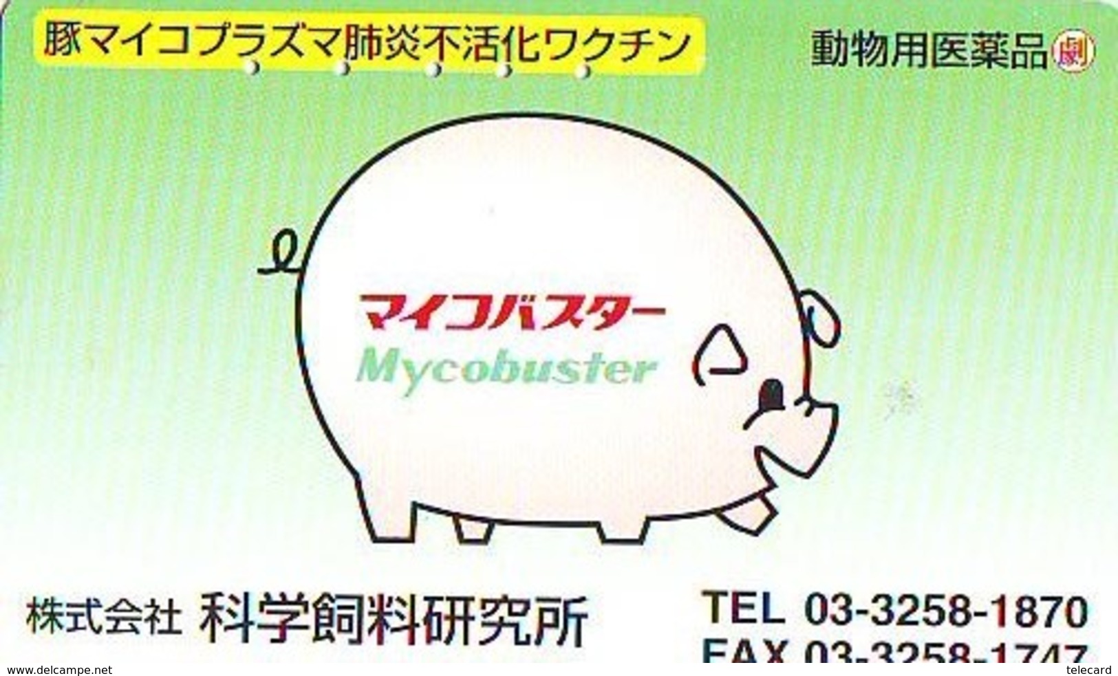 Télécarte Japon *  YEAR Of The PIG (己亥) ZODIAC  (620) COCHON * PHONECARD JAPAN * TK * SCHWEIN * PORCO * VARKEN - Zodiaque