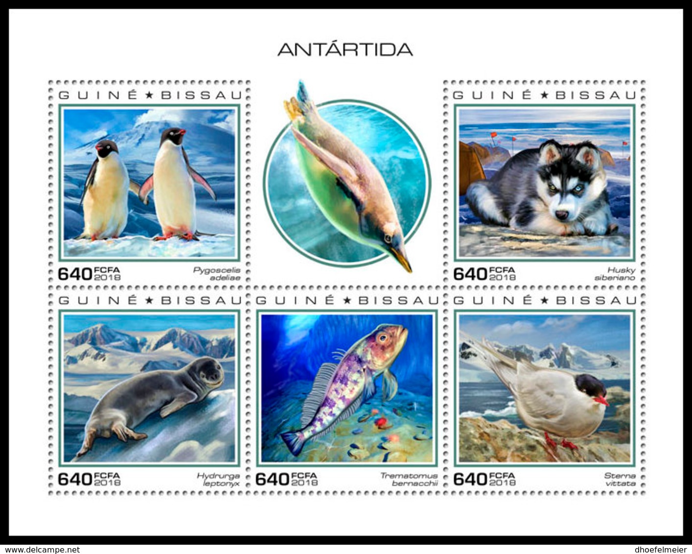 GUINEA BISSAU 2018 **MNH Antarctica Animals Tiere Der Antarktis Antarctique Animaux M/S - IMPERFORATED - DH1851 - Antarktischen Tierwelt