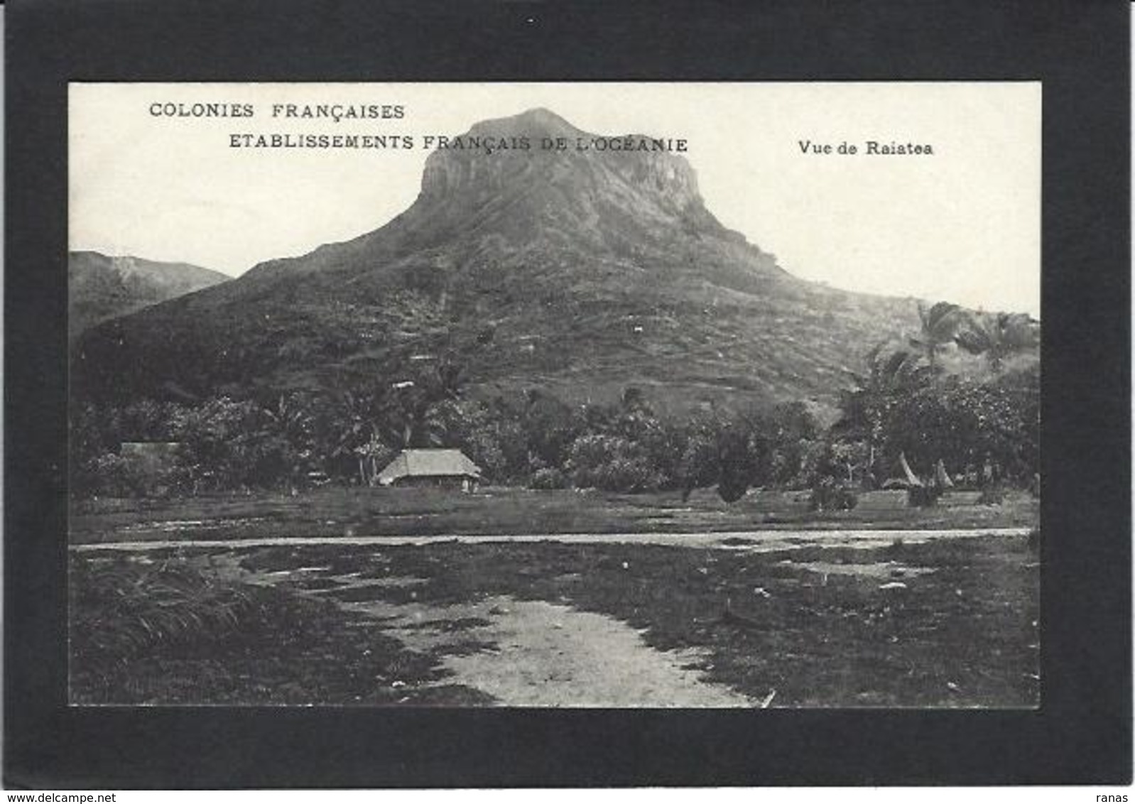 CPA Océanie Polynésie Française RAIATEA Circulé - Frans-Polynesië