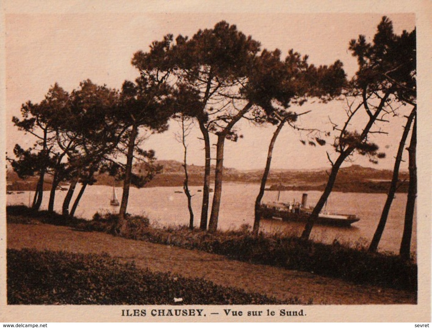 ILES CHAUSEY.-  Carte Commerciale De L'HOTEL DU FORT. Format 12x9 Cm - Sonstige & Ohne Zuordnung