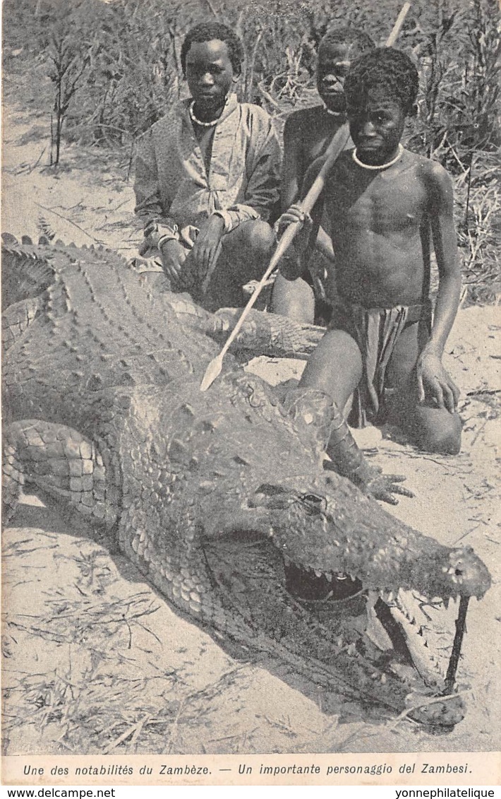 Rhodésie / 05 - Une Des Notabilités Du Zambèse - Crocodile - Zambia