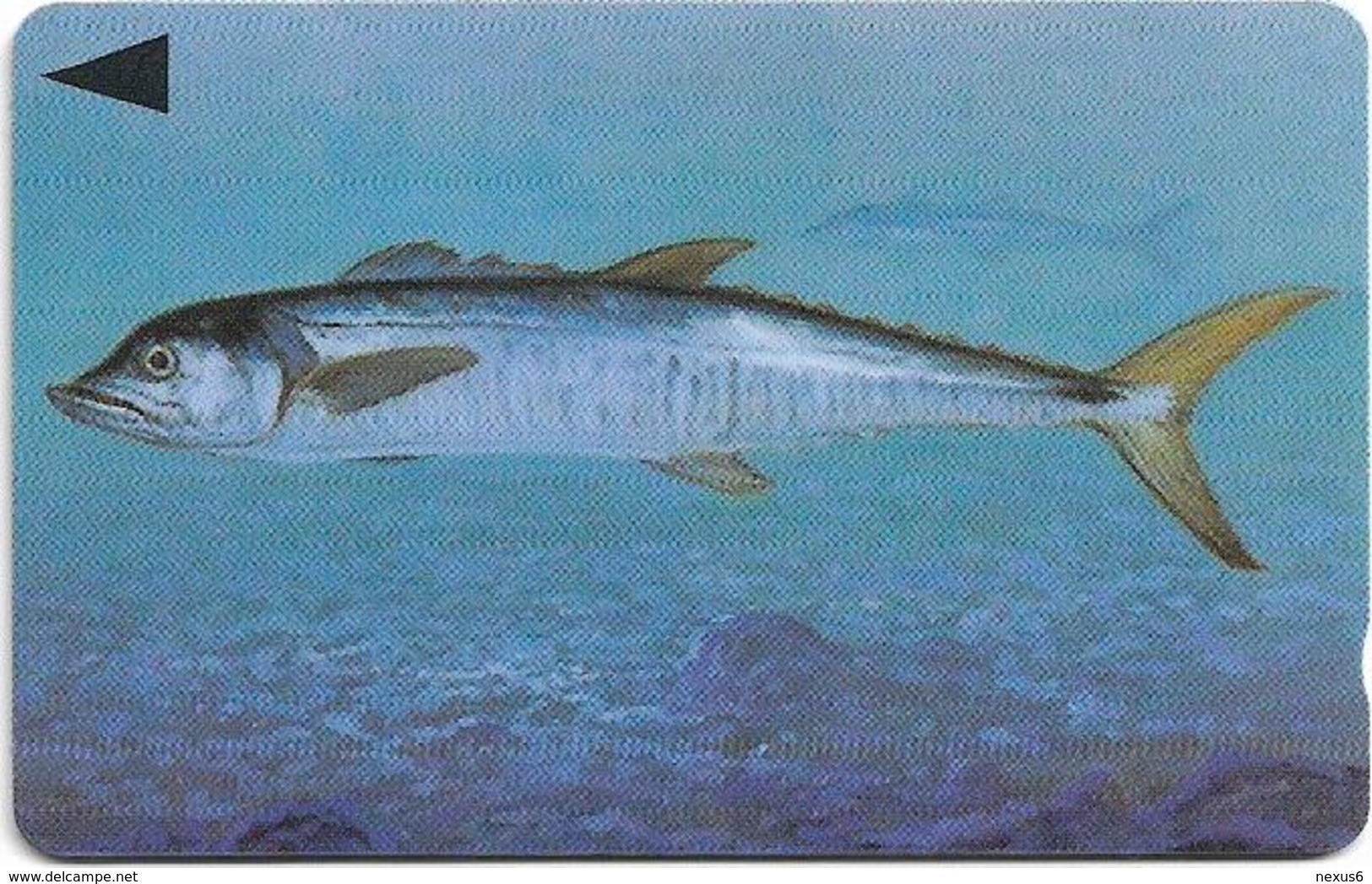 Bahrain - Fish Of Bahrain - Spanish Mackerel - 40BAHH (0) - 1996, Used - Bahrain