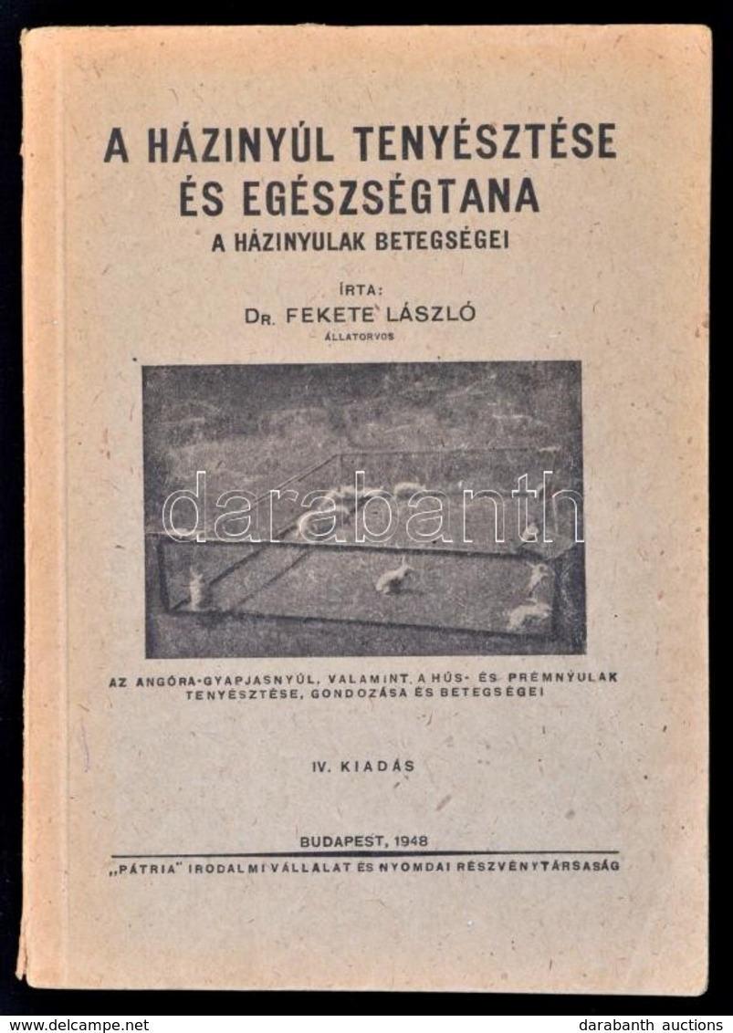 Dr. Fekete László: A Házinyúltenyésztés Egészségtana. A Házinyulak Betegségei. Az Angóra-gyapjasnyúl, Valamint A Hús- és - Ohne Zuordnung