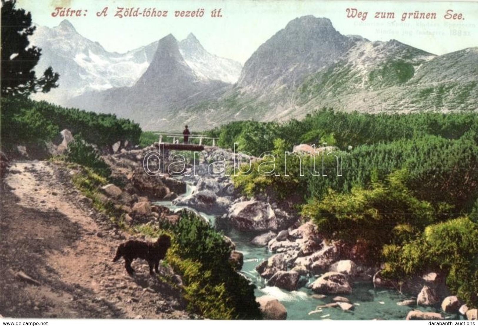 ** T1/T2 Tátra, Tatry; Zöld-tóhoz Vezető út, Cattarino Sándor Kiadása / Weg Zum Grünen See / Road - Non Classés