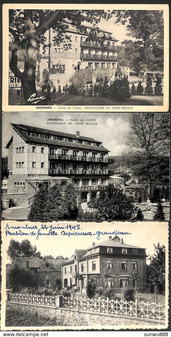 Amonines - Petit Lot Sympa 3 Cartes (Pension De Famille, Hostellerie Du Vieux Moulin) - Erezee