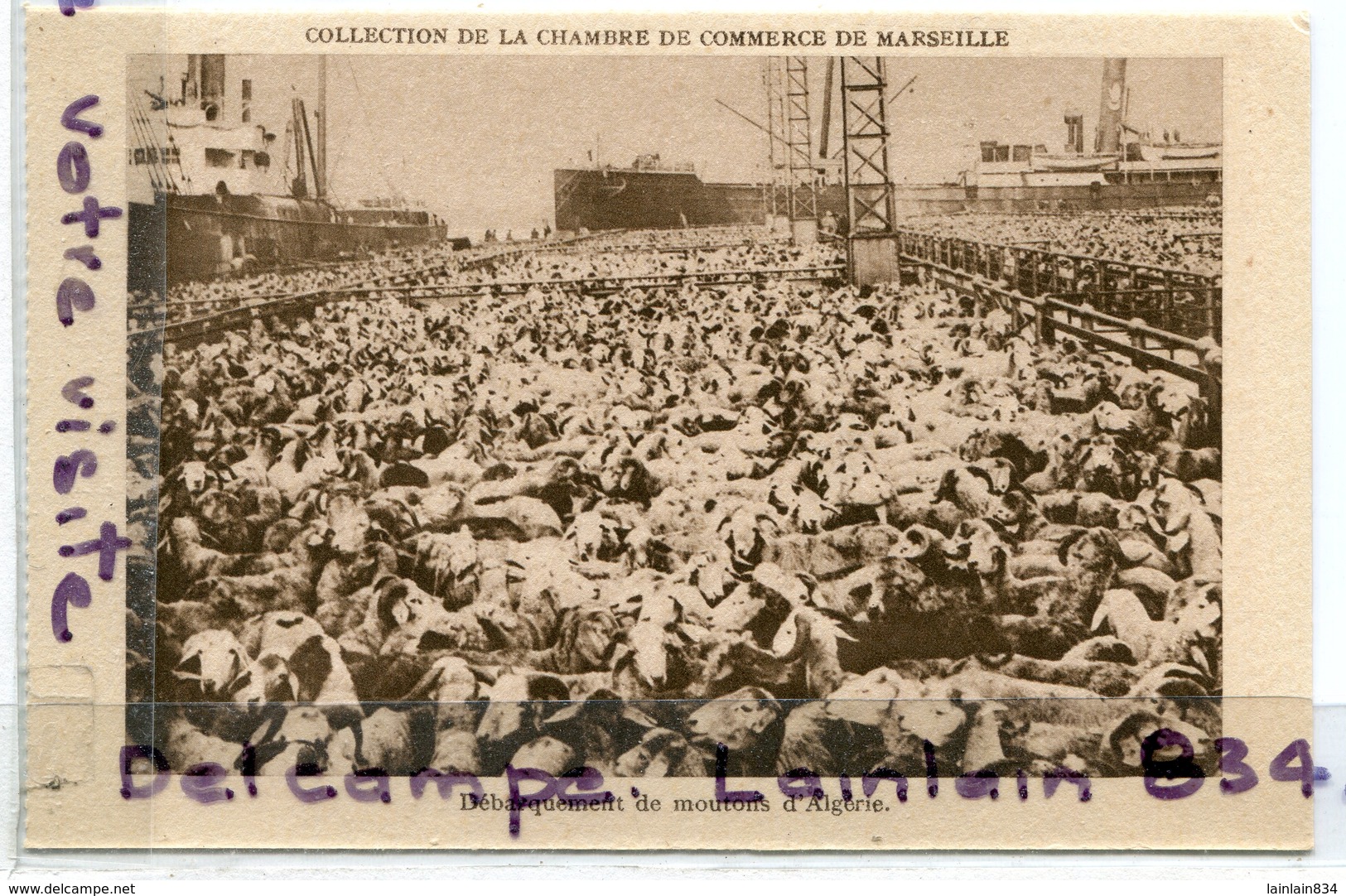 - MARSEILLE, Débarquement Des Céréales, Cargo  " Piton ", Chambre De Commerce, Marseille, TTBE, Scans. - Joliette, Port Area