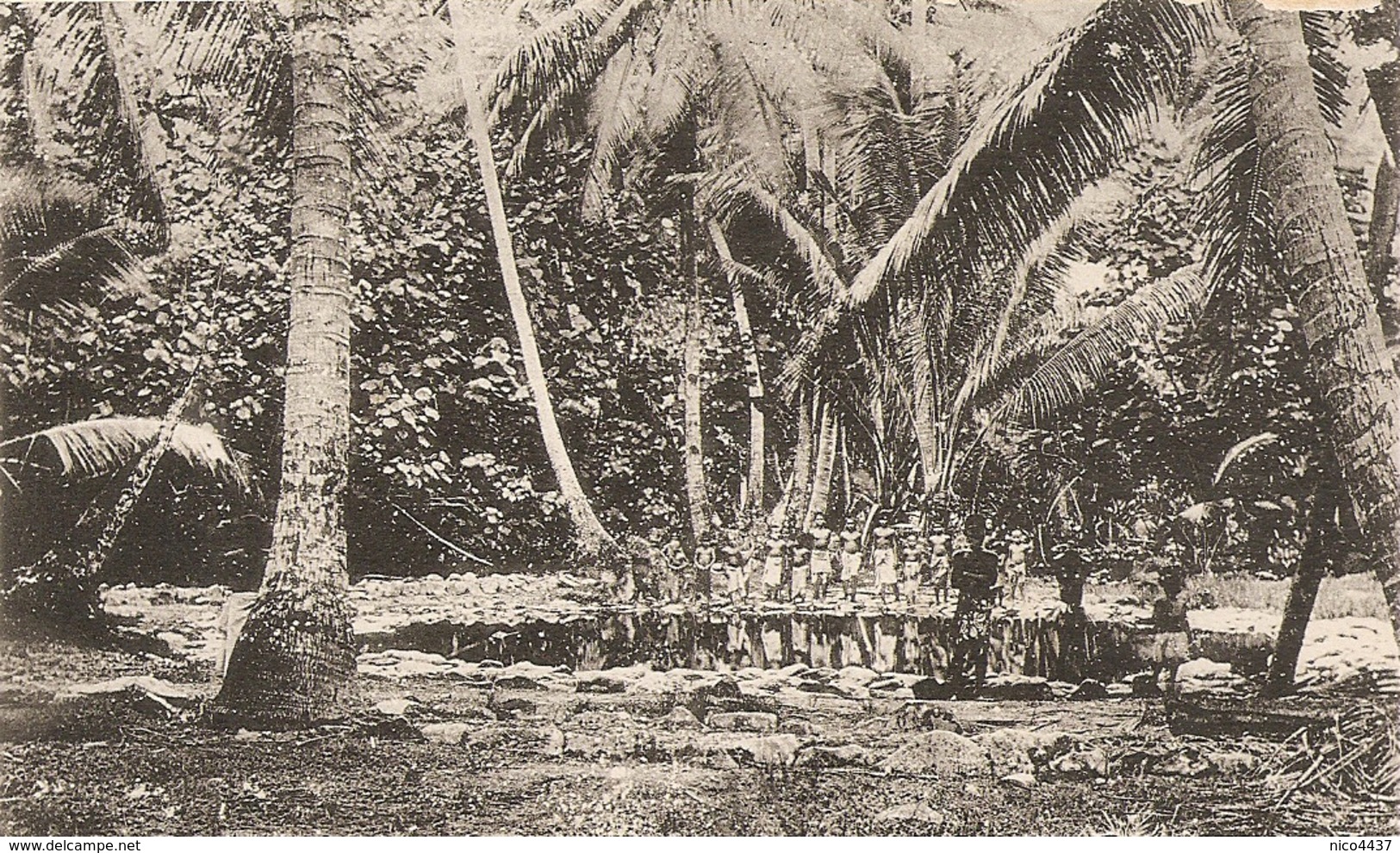 Cpa Iles Gilbert Interieur De La Foret - Micronésie