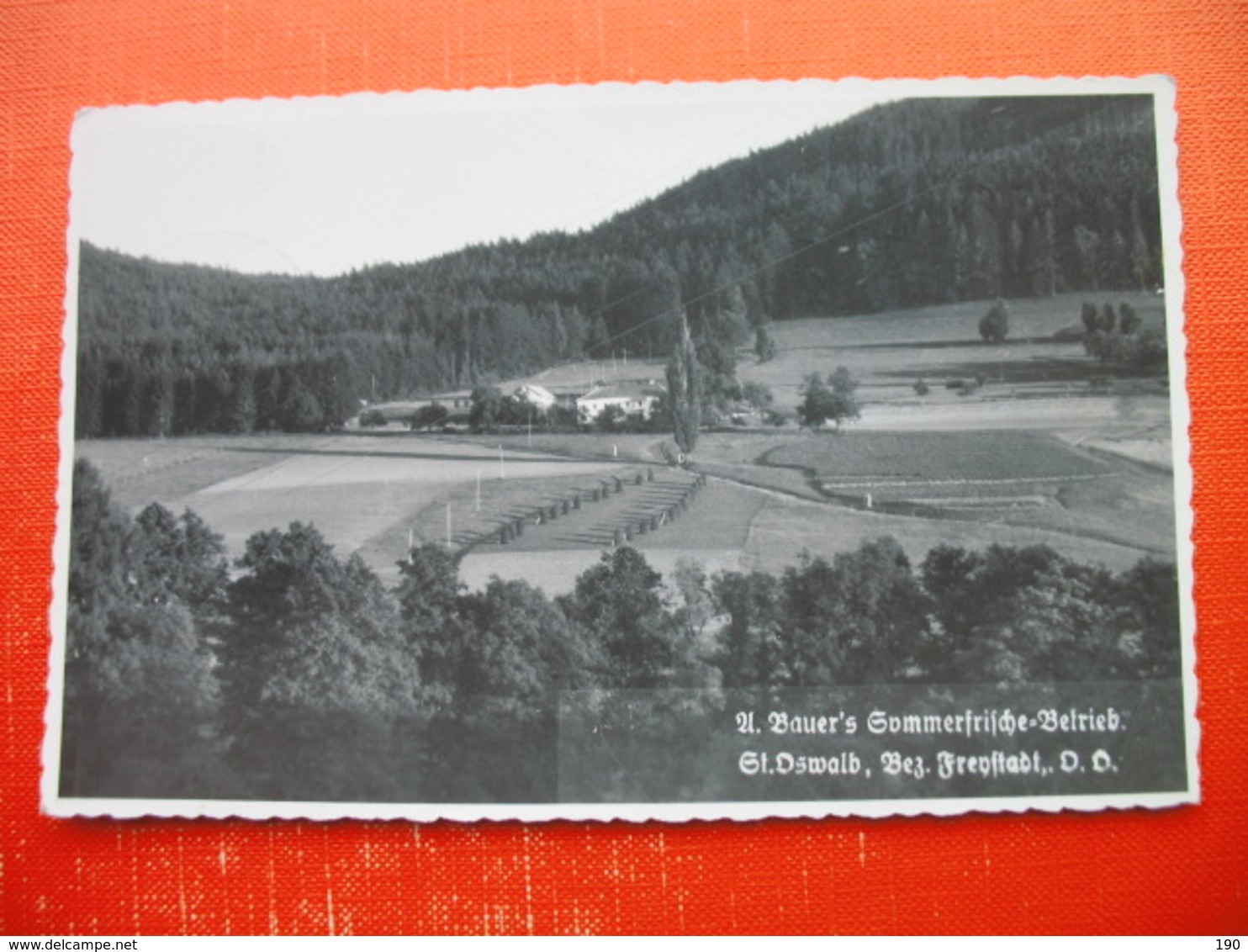 St.Oswald Bei Freistadt.A.Bauers Sommerfrische-Betrieb - Freistadt