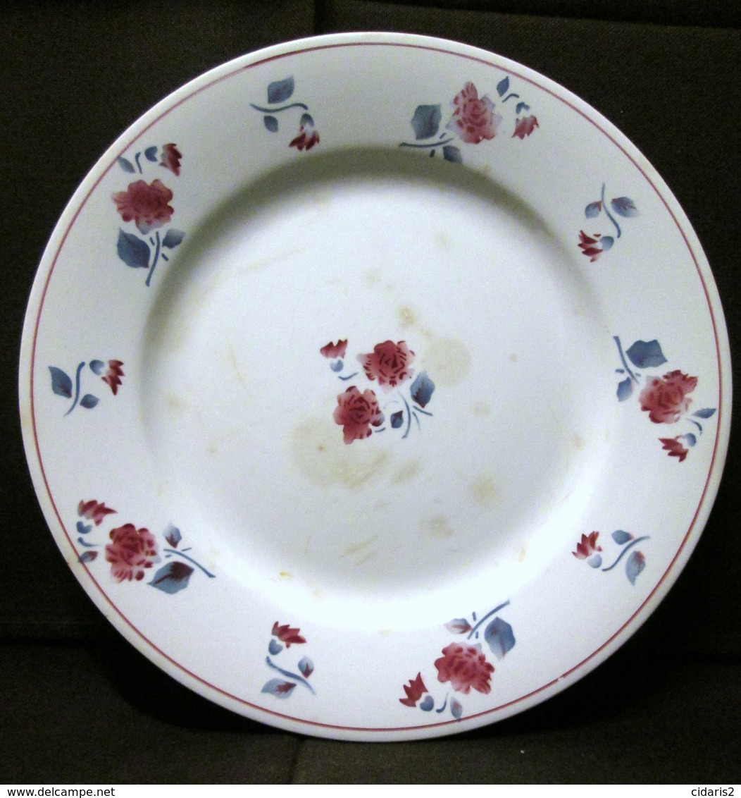 2 ASSIETTE (1 Grande + 1 Petite) DIGOIN SARREGUEMINES Service 9072 Faience Earthenware Fleur Rose Ca1920 à 1950 ! - Digoin (FRA)