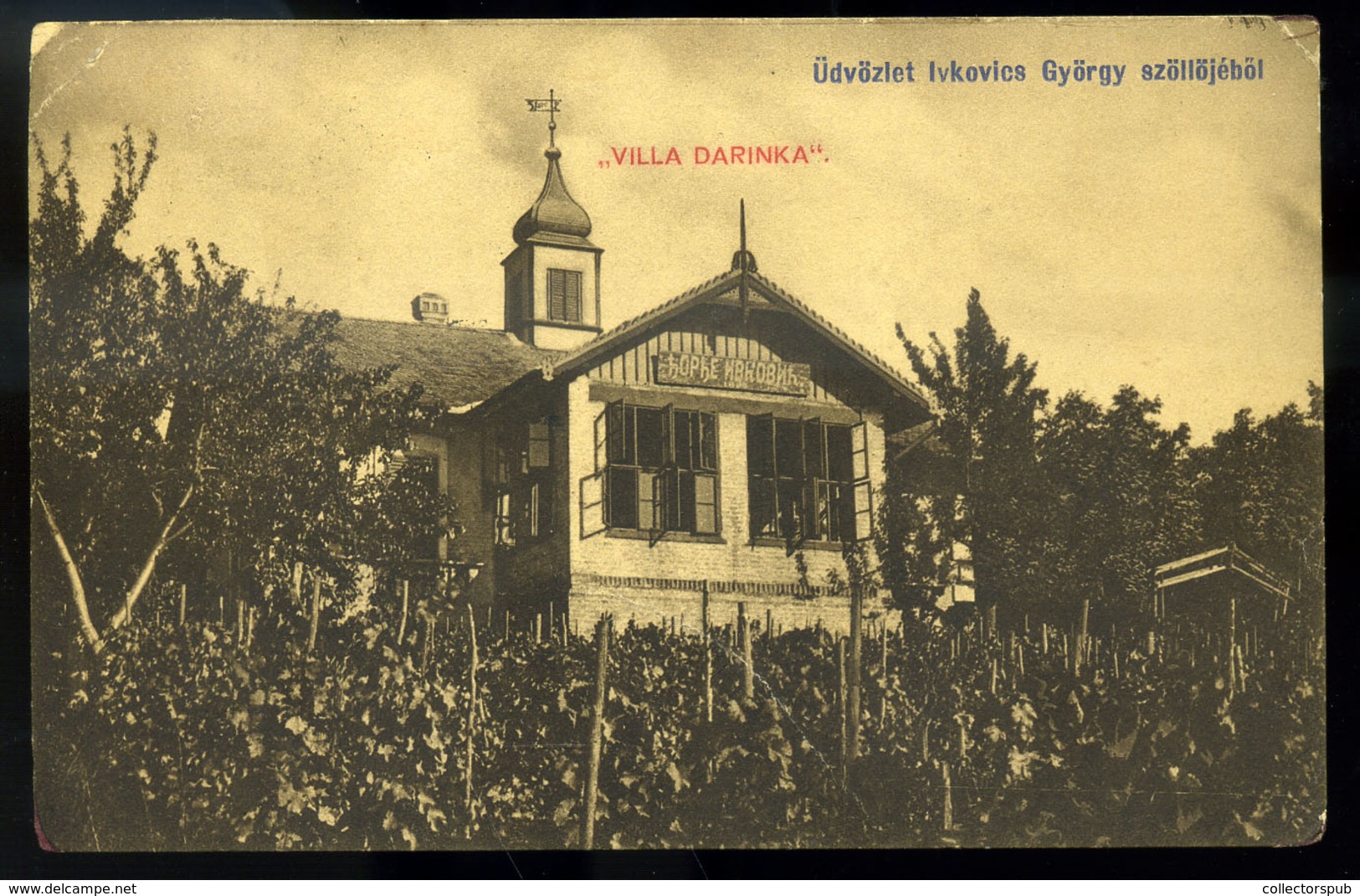 ÚJVIDÉK 1910. Ivkovics György Szőlője , Régi Képeslap  /  1910 Vineyard Of György Ivkovics, Vintage Pic. P.card - Hongarije