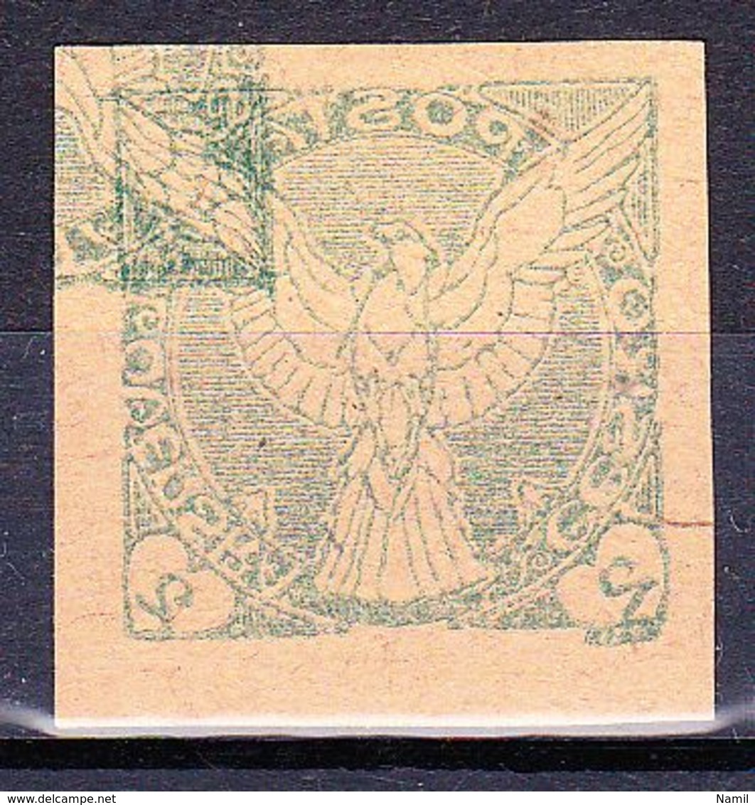 (*) Tchécoslovaquie 1919 Mi 13 (Yv TPJ 1), Recto-verso - Proofs & Reprints