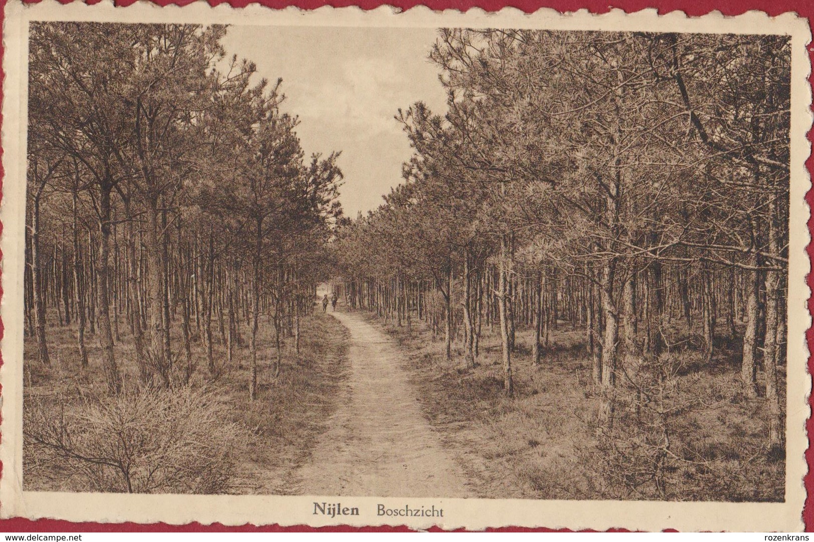 Nijlen Boschzicht Boszicht Geanimeerd Kempen (In Zeer Goede Staat) - Nijlen