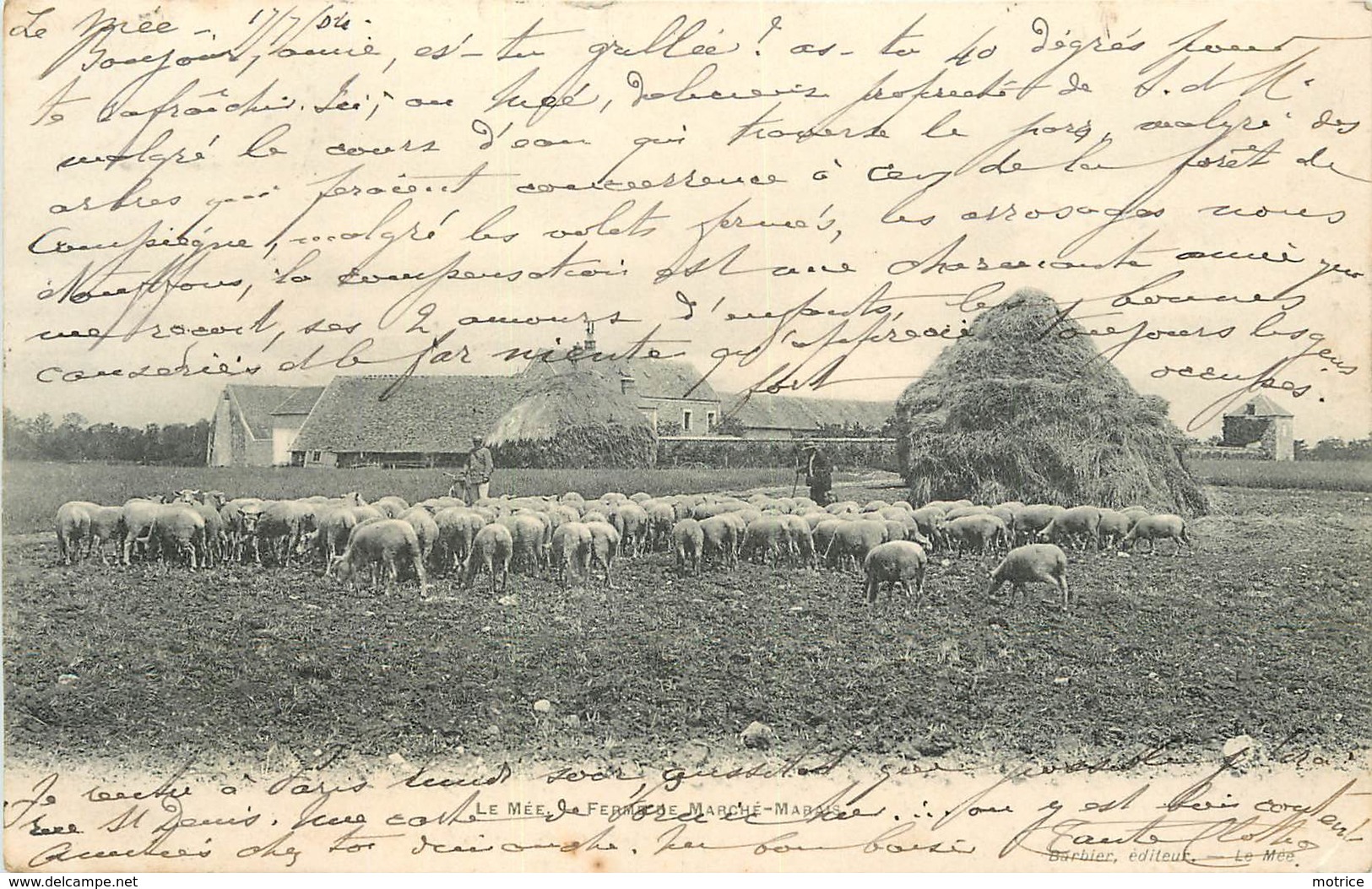 LE MEE SUR SEINE - Ferme De Marché Marais, Berger Et Ses Moutons. - Le Mee Sur Seine