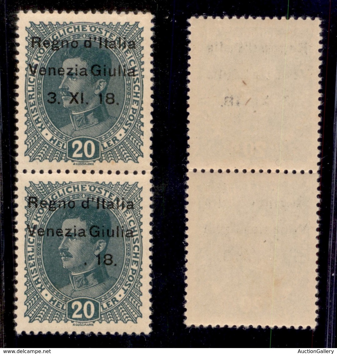 OCCUPAZIONI - VENEZIA GIULIA - 1918 - 20 Heller (7 + 7t) - Coppia Verticale - Senza 3.XI In Basso - Gomma Integra - Sonstige & Ohne Zuordnung