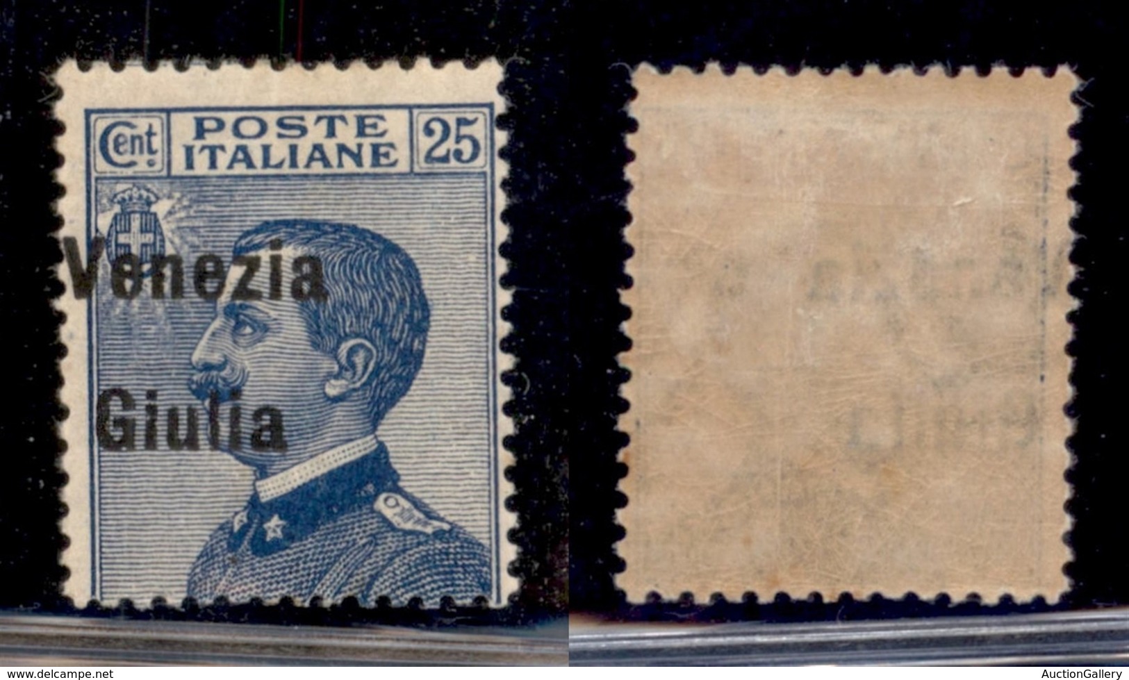 OCCUPAZIONI - VENEZIA GIULIA - 1918 - 25 Cent (24eafc) - Soprastampa A Sinistra - Gomma Originale - Andere & Zonder Classificatie