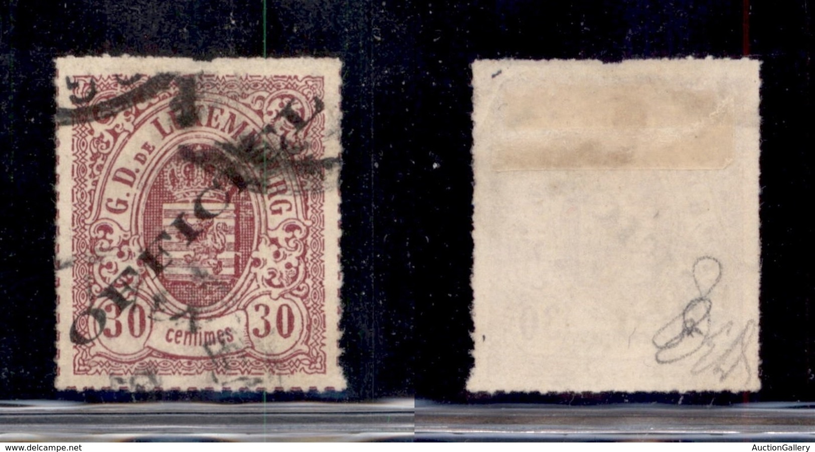 EUROPA - LUSSEMBURGO - 1875 - Servizi - 30 Cent Stemma Soprastampato Officiel (7I) - Usato - Other & Unclassified