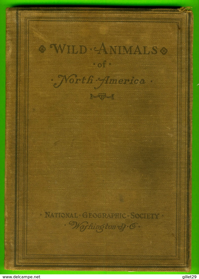 BOOKS - NATIONAL GEOGRAPHIC SOCIETY - WILD ANIMALS OF NORTH AMERICA BY EDWARD W. NELSON, 1918 - 612 PAGES - - Animaux