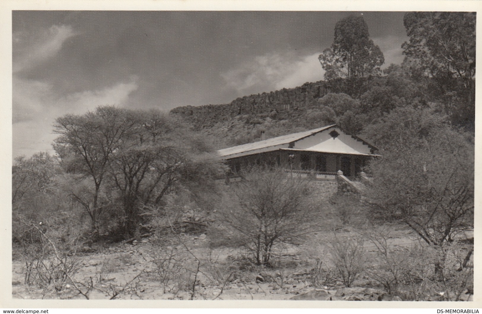 Namibia Waterberg Real Photo Postcard - Namibia