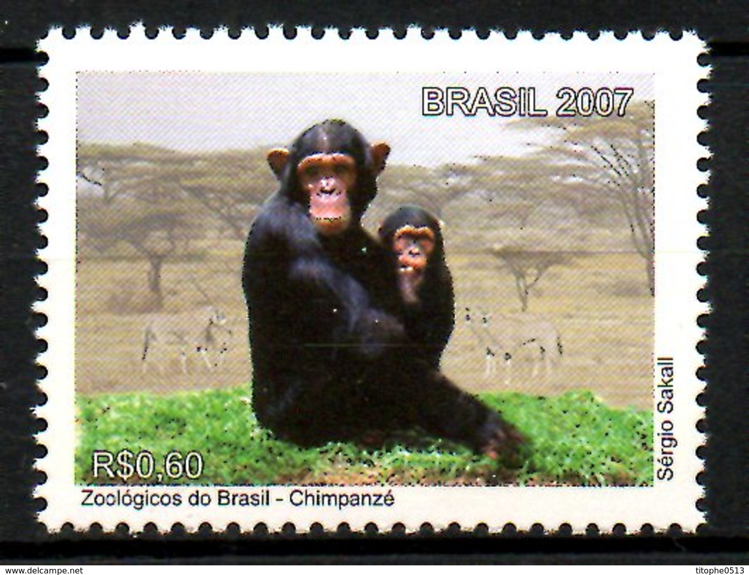 BRESIL. N°2991 De 2007. Chimpanzé. - Schimpansen