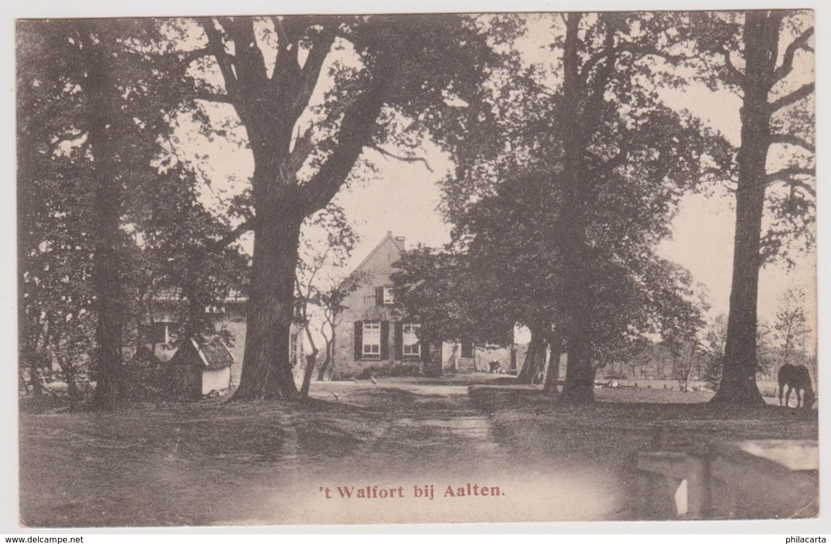 Aalten - T Walfort - 1919 - Aalten