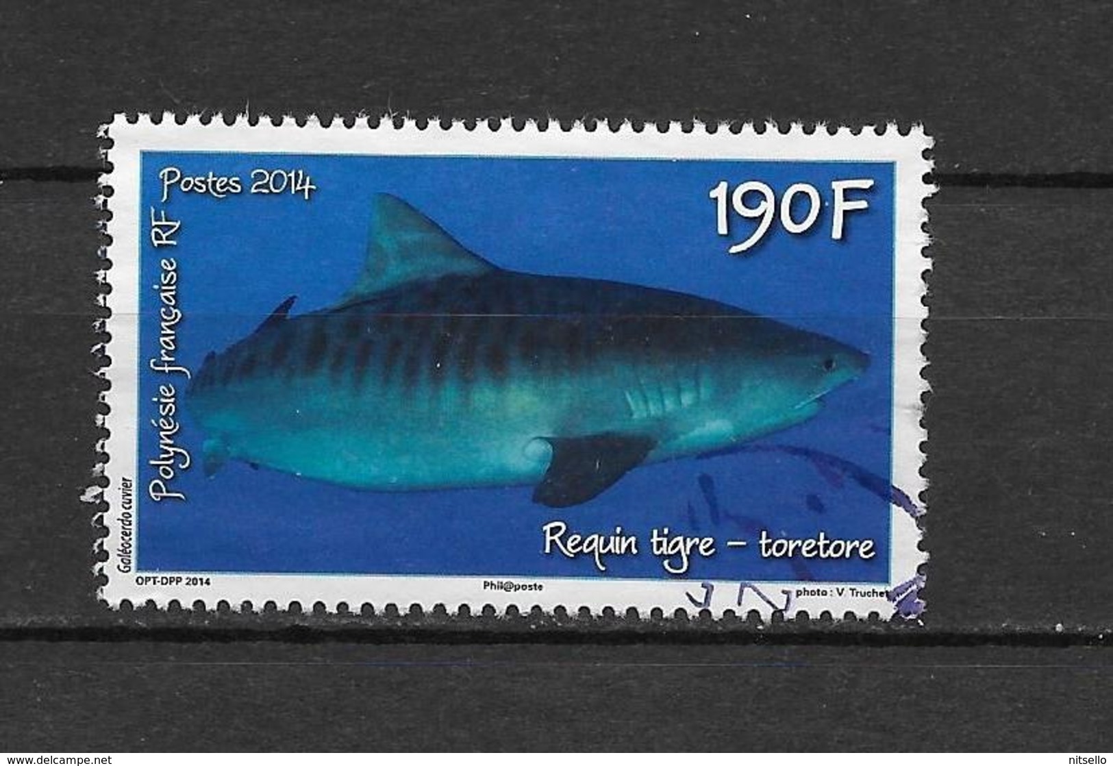 LOTE 2202 A  ///  (C025)  POLYNESIE FRANÇAISE  1068 De 2014 Oblitéré "le Requin Tigre" - Gebraucht