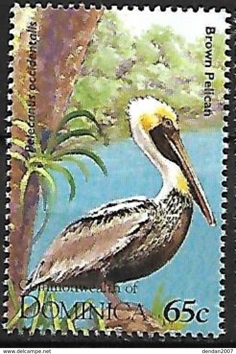 Dominica - 1995 - MNH -  Brown Pelican  -  Pelecanus Occidentalis - Pelikanen