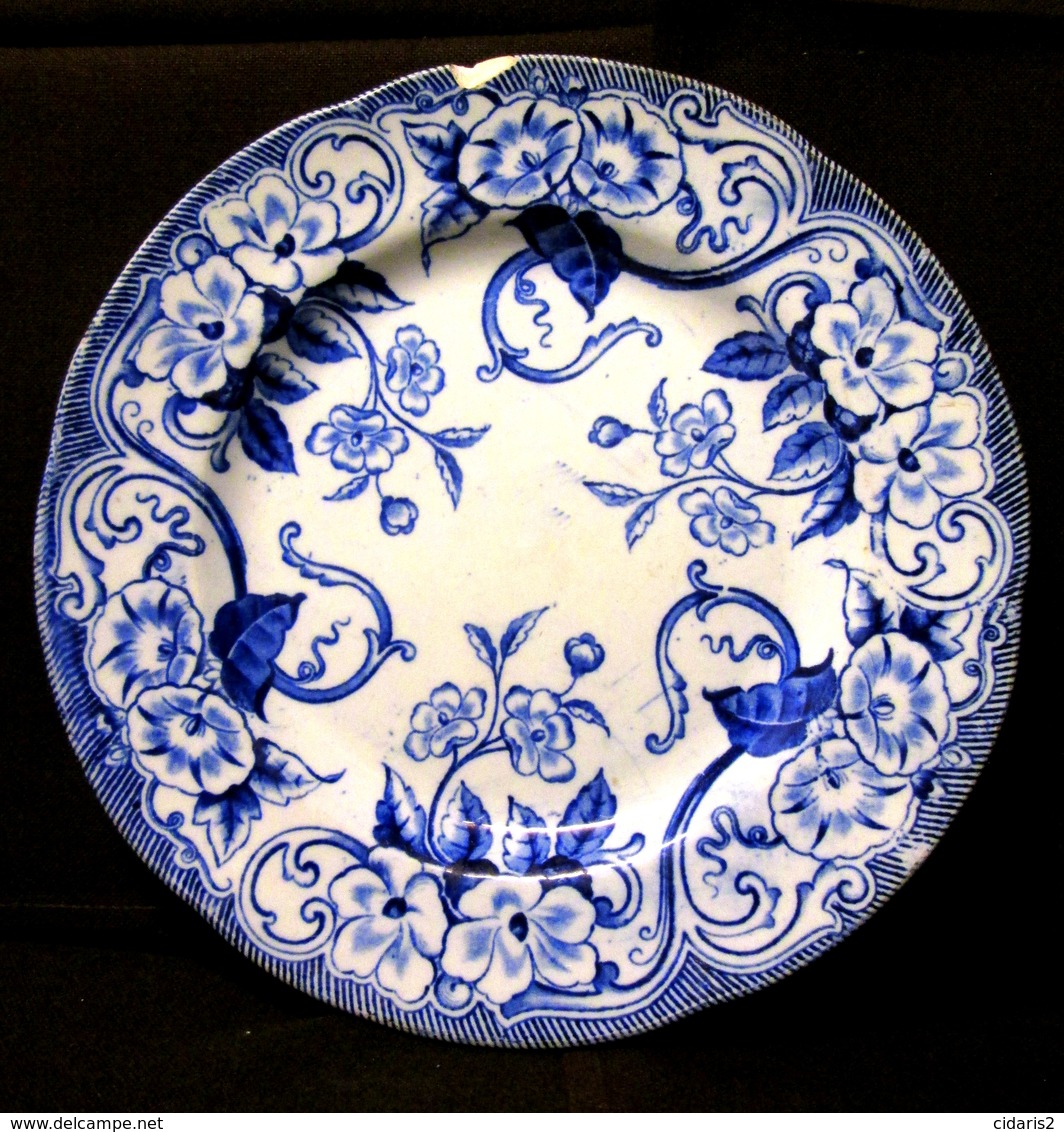 ASSIETTE Service "Flora" Fleur Liseron Bleu CREIL & MONTEREAU Céramique Faience Earthenware Art Deco XIXème S. ! - Creil Montereau (FRA)