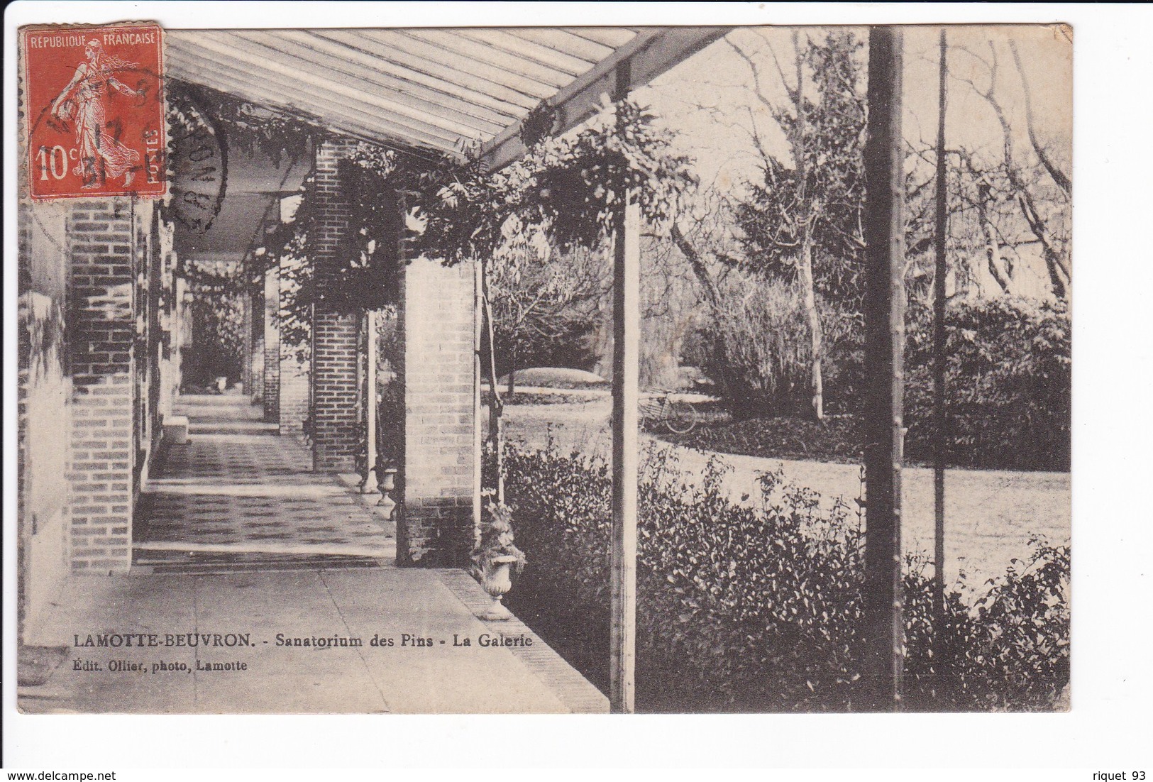 LAMOTTE-BEUVRON - Sanatorium Des Pins - La Galerie - Lamotte Beuvron