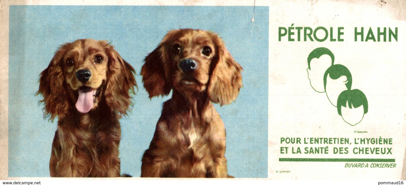 Buvard Pétrole Hann : Chiens - Perfume & Beauty