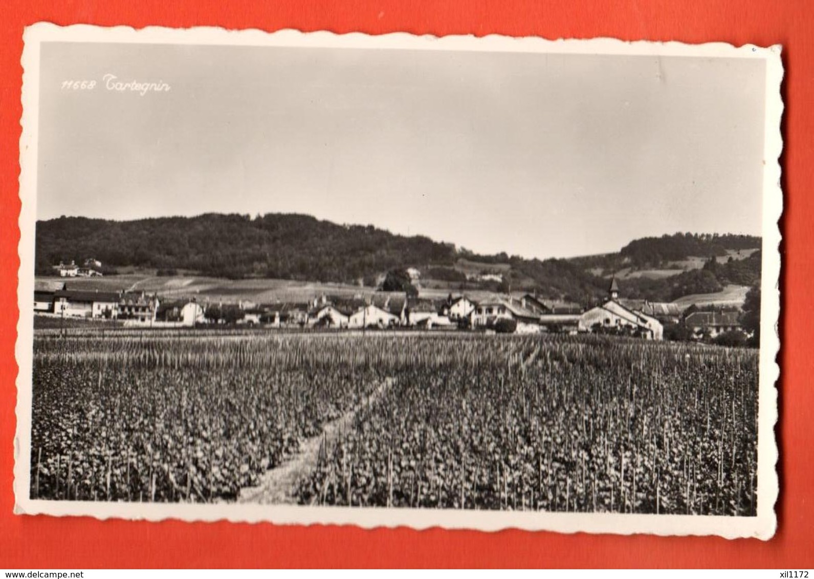 TRV-11 Tartegnin Sur Rolle Le Pays Du Bon Vin. Message Sur Les Villageois. Circulé Vers L'Allemagne En 1959 - Rolle