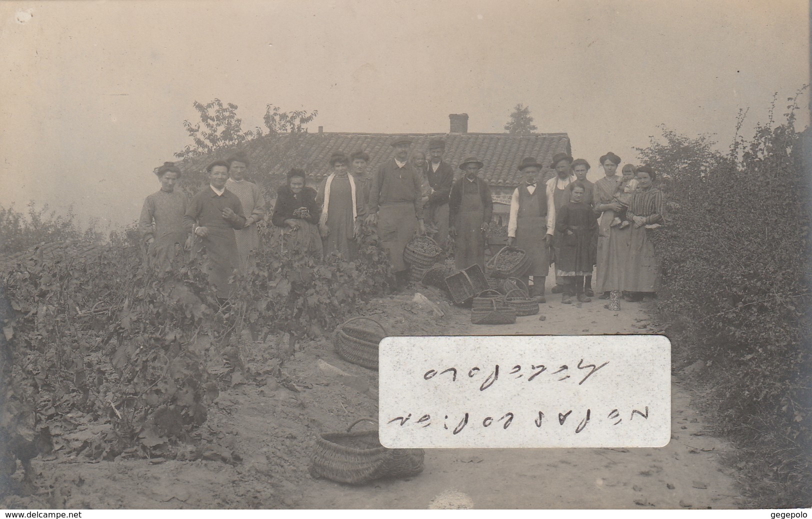 RULLY  - La Pause Avant Les Vendanges D'Octobre 1910    ( Carte Photo ) - Sonstige & Ohne Zuordnung