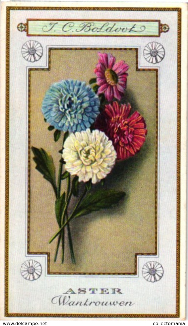 60 chromo lithos zie fotos, 4711 , gedrukt  cirka 1916 verzameling, NEderland - parfum Boldoot - 6,2 cm X 11 cm