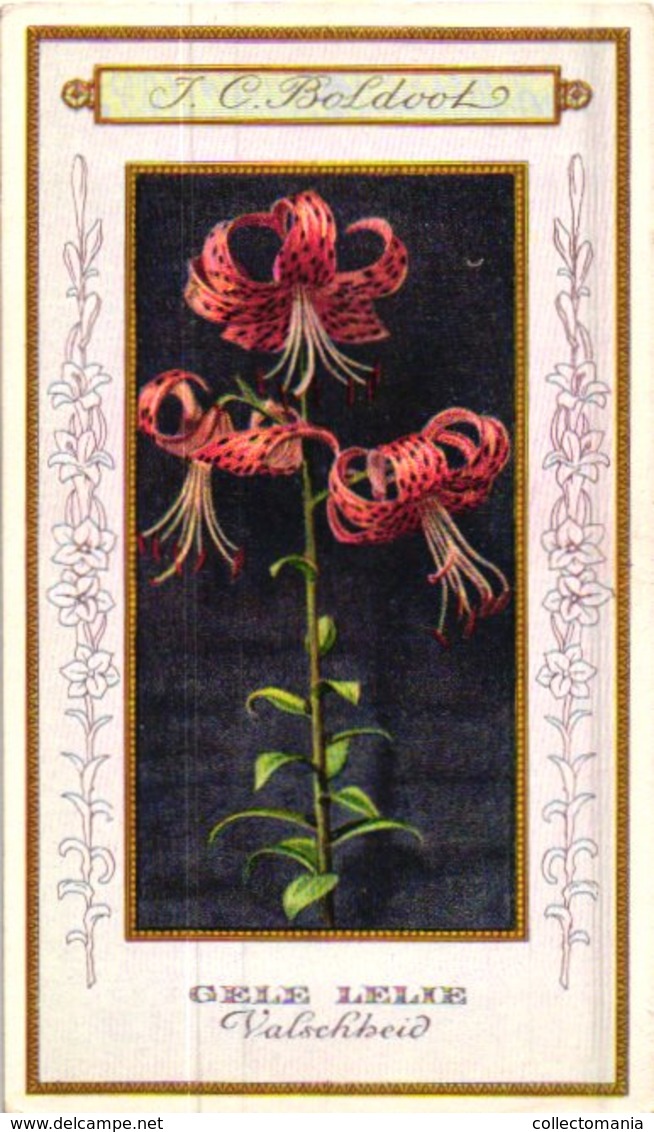 60 chromo lithos zie fotos, 4711 , gedrukt  cirka 1916 verzameling, NEderland - parfum Boldoot - 6,2 cm X 11 cm