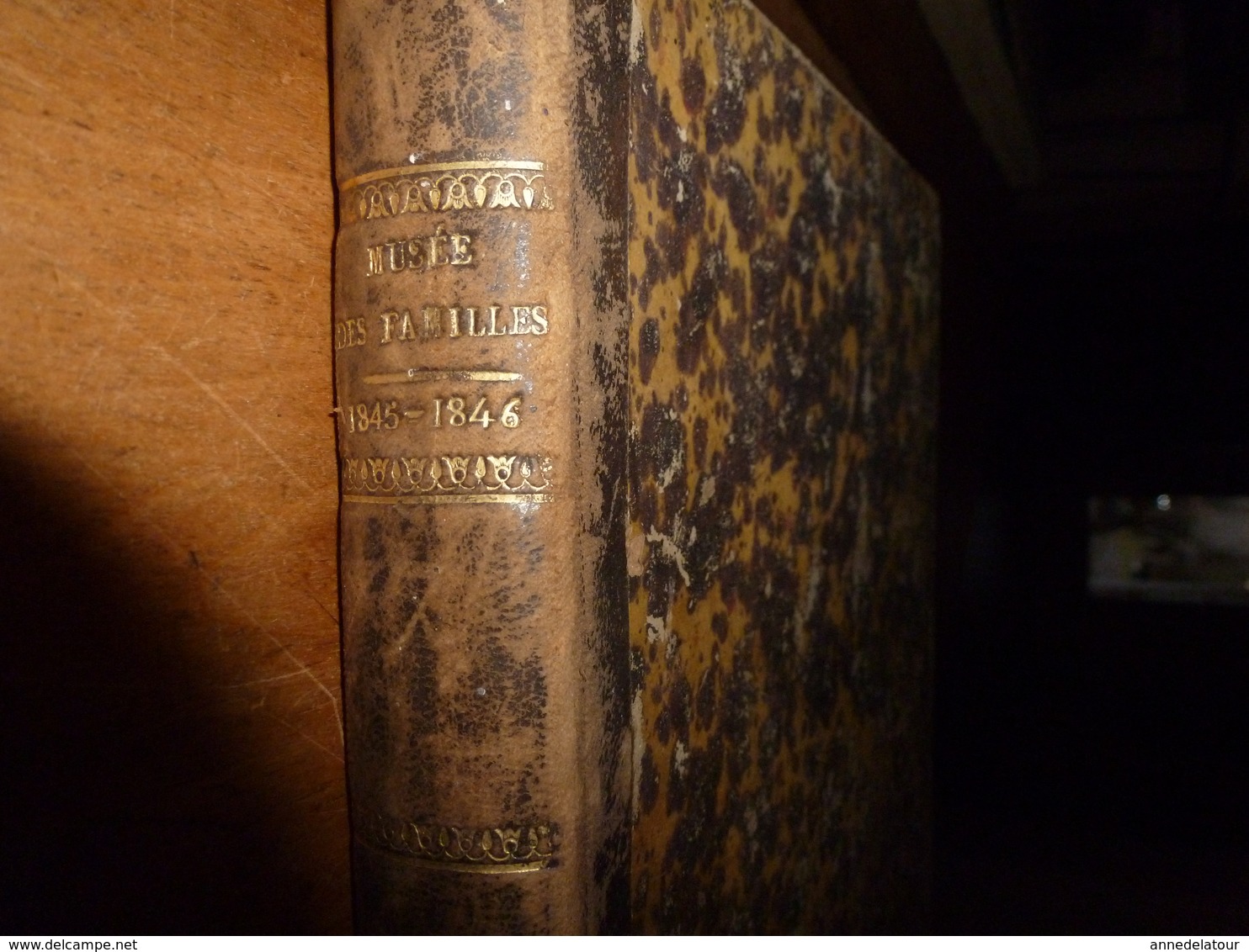 1845-46 MUSEE DES FAMILLES:Histoire De La Danse;Histoire Des Poupées,des Marionnettes;Tanger;Venise;Peintre Apelles ;etc - 1800 - 1849