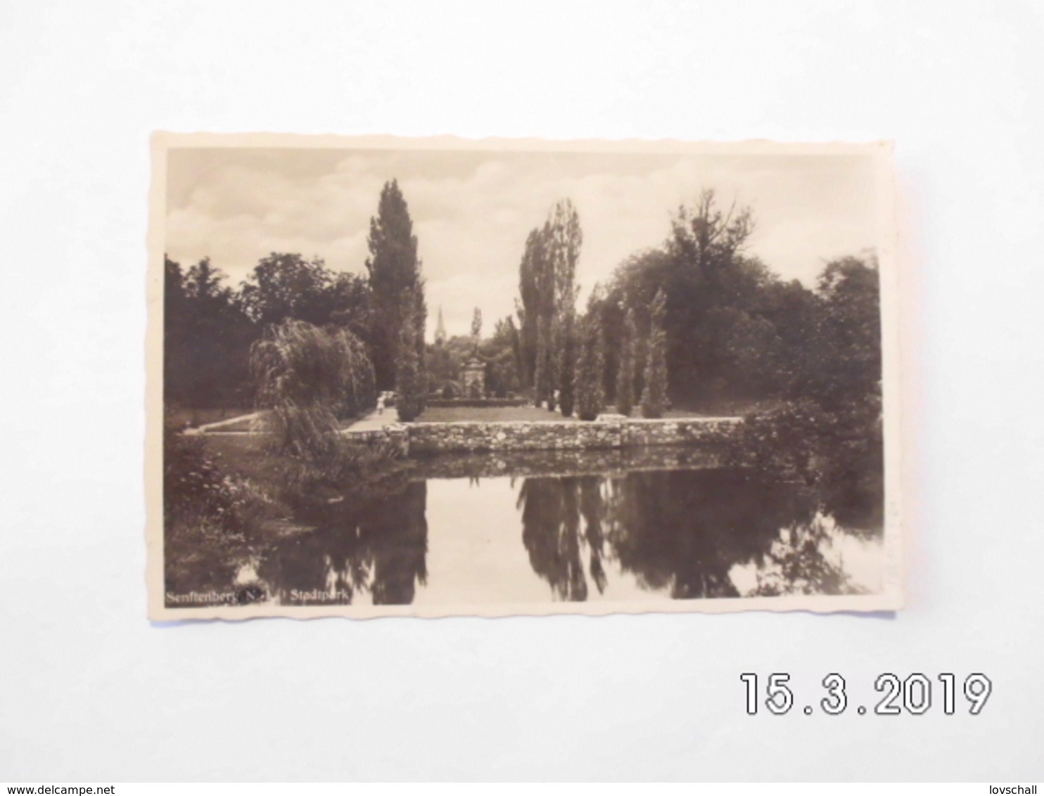 Senftenberg. - Stadtpark. (25 - 9 - 1948) - Senftenberg