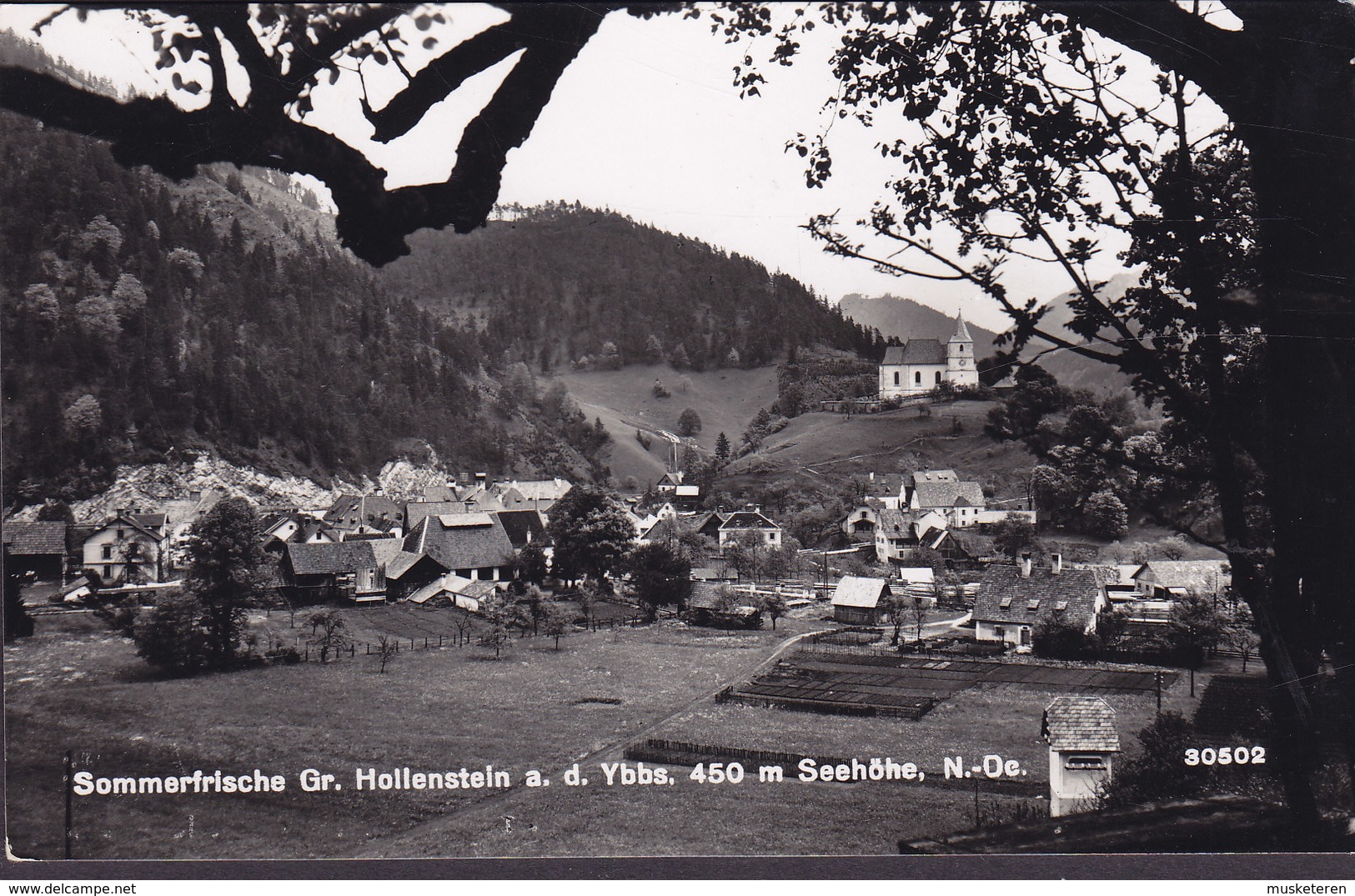 Austria PPC Sommerfische Gr. Hollenstein A. D. Ybbs HOLLENSTEIN A. D. YBBS 1955 Echte Real Photo Véritable (2 Scans) - Hollabrunn