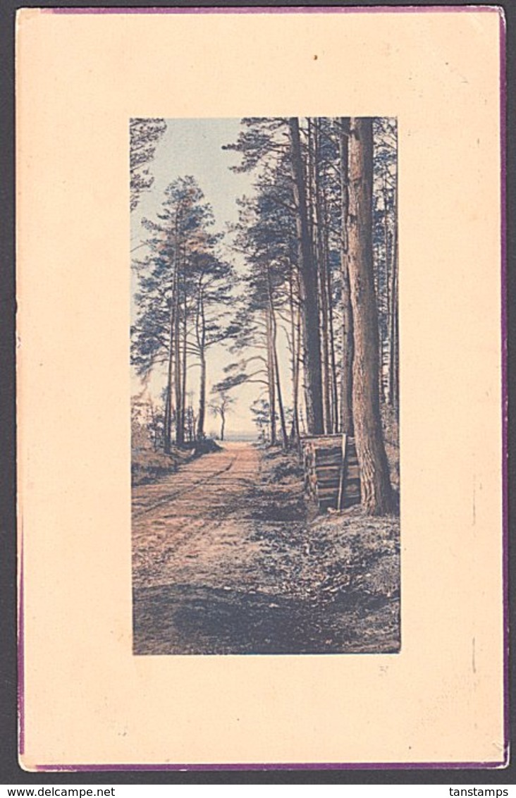 NZ Postcard 1/2d KEVII Rural Trees Scene. - Cartas & Documentos