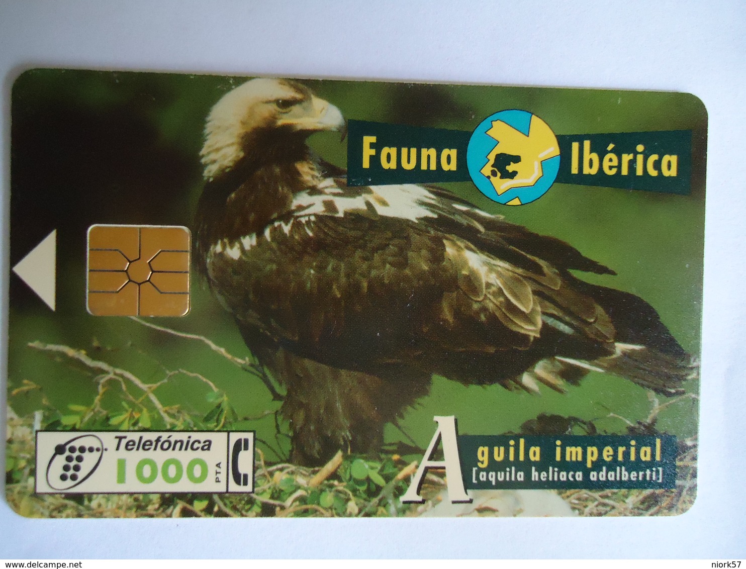 SPAIN   USED CARDS ANIMALS EAGLES - Aigles & Rapaces Diurnes