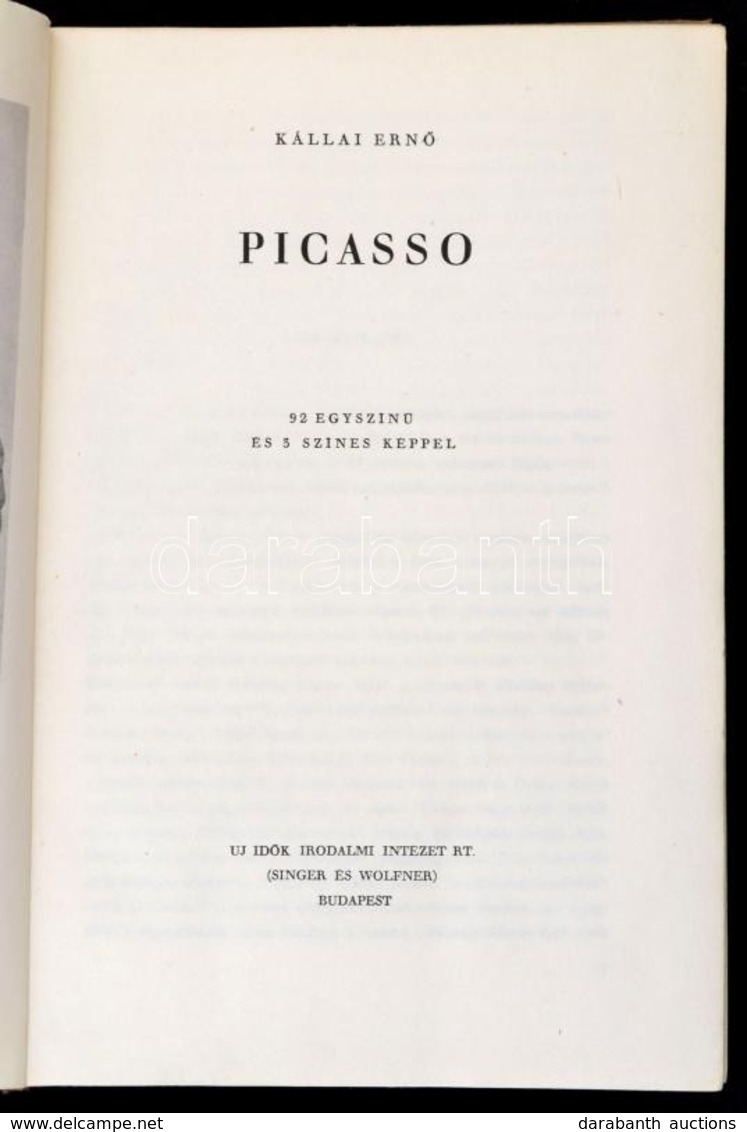 Kállai Ernő: Picasso. Bp.,1948,Új Idők Irodalmi Intézet Rt.(Singer és Wolfner),(Hungária-ny.), 86 P.+LXXX T. Kiadói Félv - Unclassified