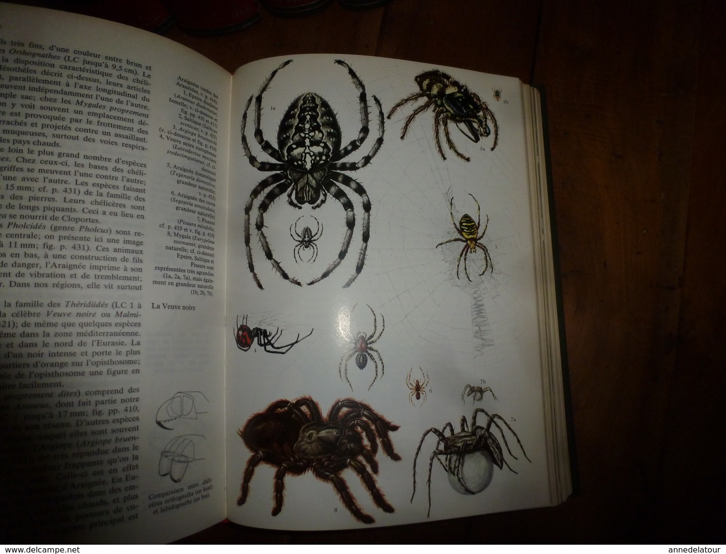 LE MONDE ANIMAL - Encyclopédie de la Vie des Bêtes -  en 13 volumes + index