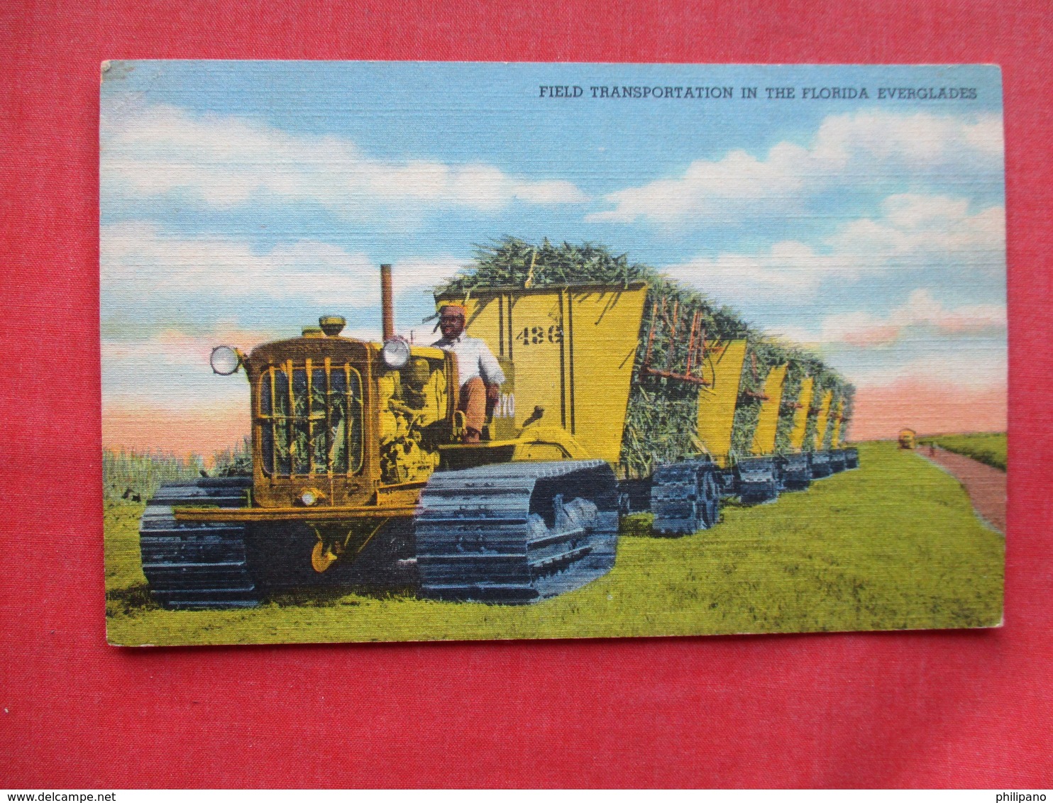 Black Americana      Field Transportation In Florida Everglades  Ref 3264 - Black Americana