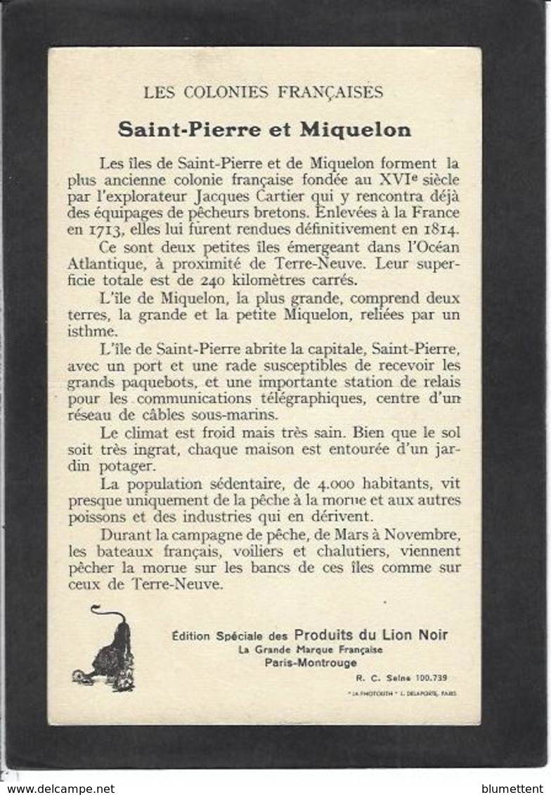 CPA Saint Pierre Et Miquelon Non Circulé Publicité Lion Noir Dos Publicitaire Voir Scan - Saint Pierre And Miquelon