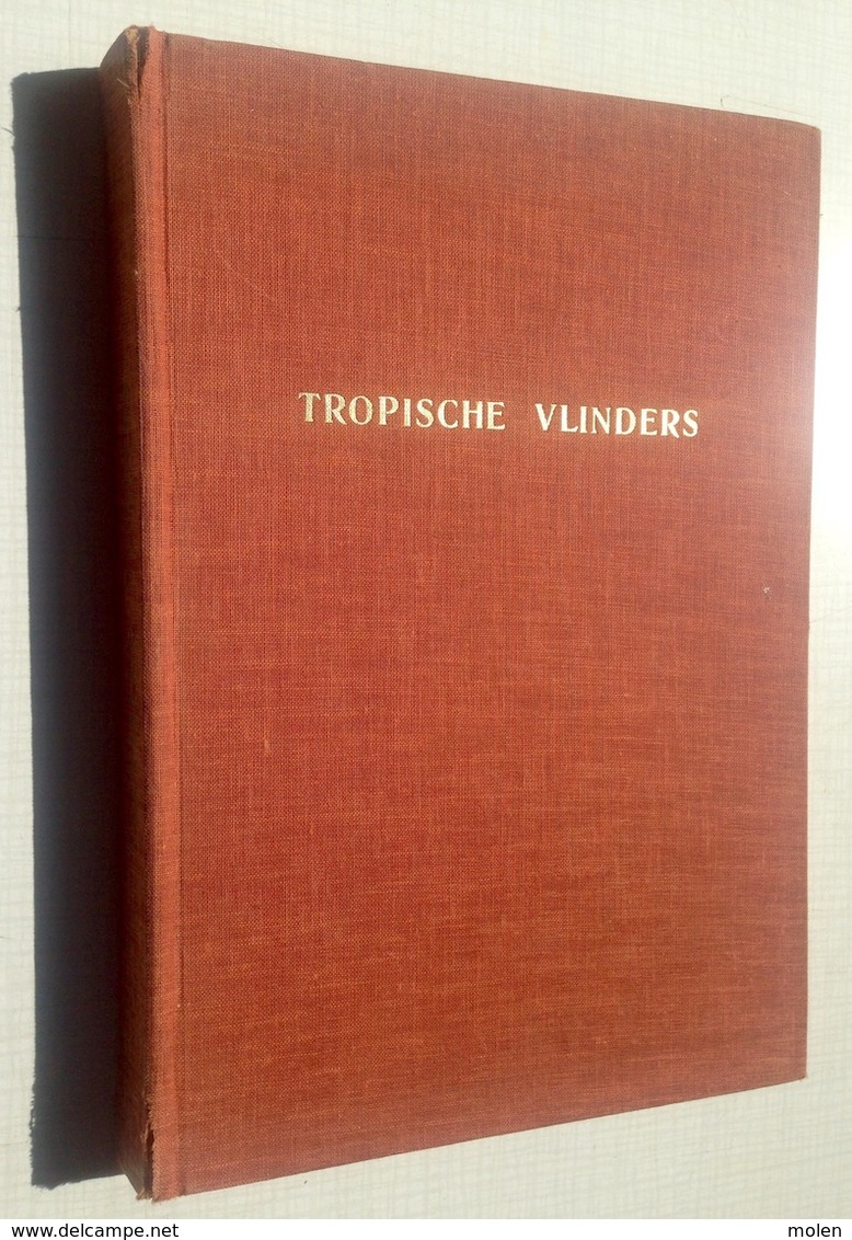 CHROMO-ALBUM DE WONDERWERELD DER TROPISCHE VLINDERS * ARTIS VLINDER PAPILLON BUTTERFLY Prentenboek Plaatjes BOEK Z743 - Albums & Catalogues