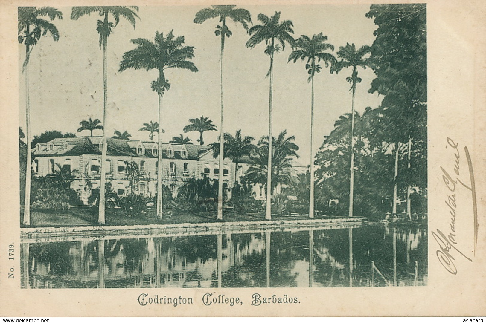 Barbados  Codrington College  P. Used Port Of Spain Trinidad In 1902 - Barbados